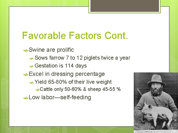 Favorable Factors Cont. Swine are prolific Sows farrow 7 to 12 piglets twice a Favorable Factors Cont. Swine are prolific Sows farrow 7 to 12 piglets twice a