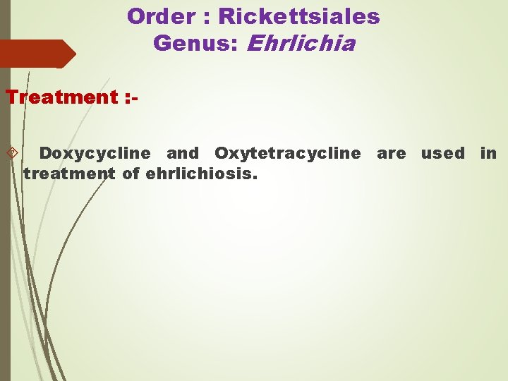 Order : Rickettsiales Genus: Ehrlichia Treatment : - Doxycycline and Oxytetracycline are used in