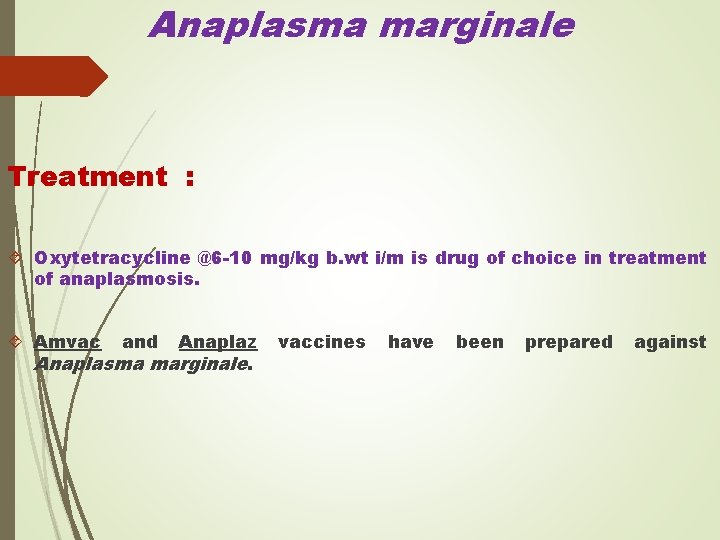 Anaplasma marginale Treatment : Oxytetracycline @6 -10 mg/kg b. wt i/m is drug of