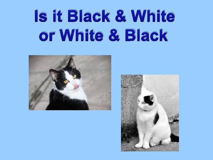 Is it Black & White or White & Black 