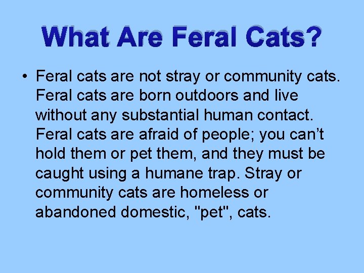 What Are Feral Cats? • Feral cats are not stray or community cats. Feral