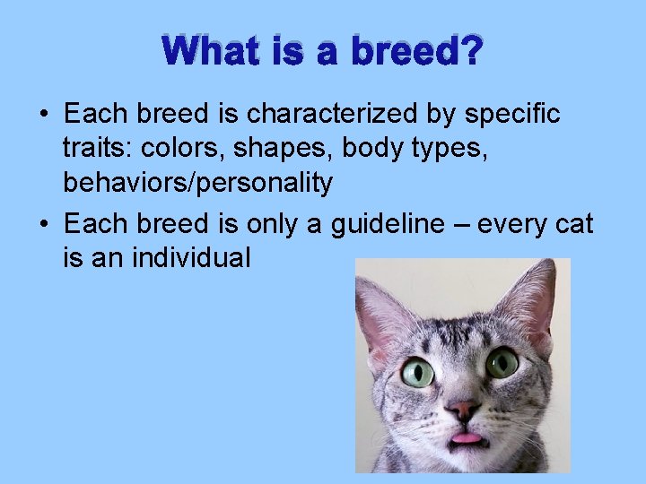 What is a breed? • Each breed is characterized by specific traits: colors, shapes,
