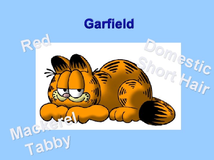 Garfield d e R l e r e k c a M y b