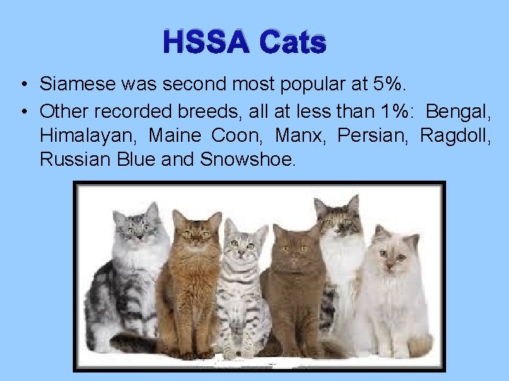 HSSA Cats • Siamese was second most popular at 5%. • Other recorded breeds,