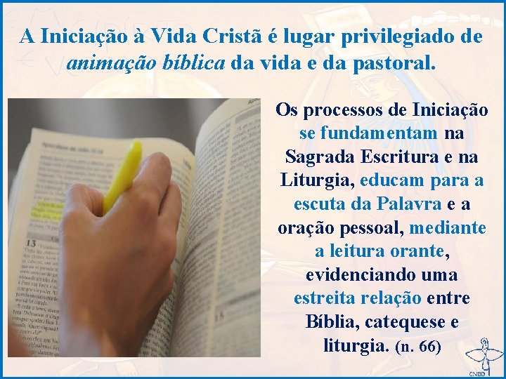 A Iniciação à Vida Cristã é lugar privilegiado de animação bíblica da vida e