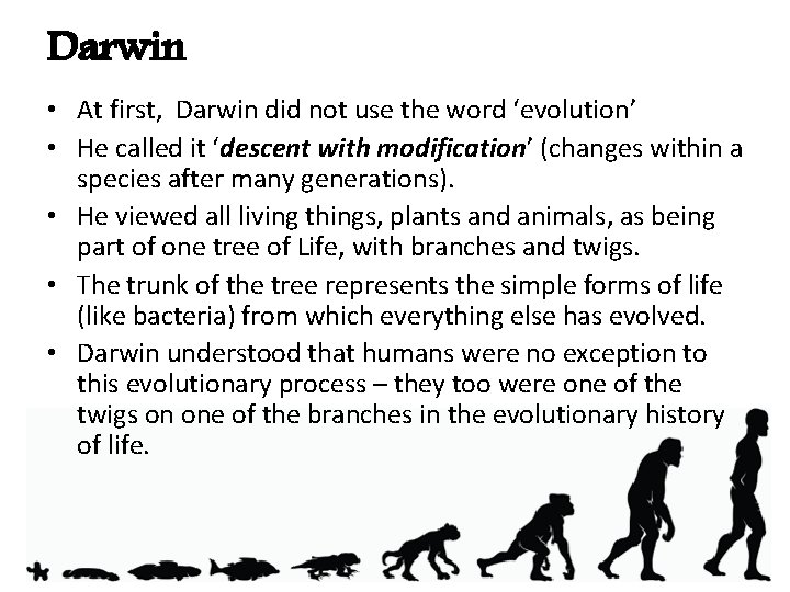 Darwin • At first, Darwin did not use the word ‘evolution’ • He called