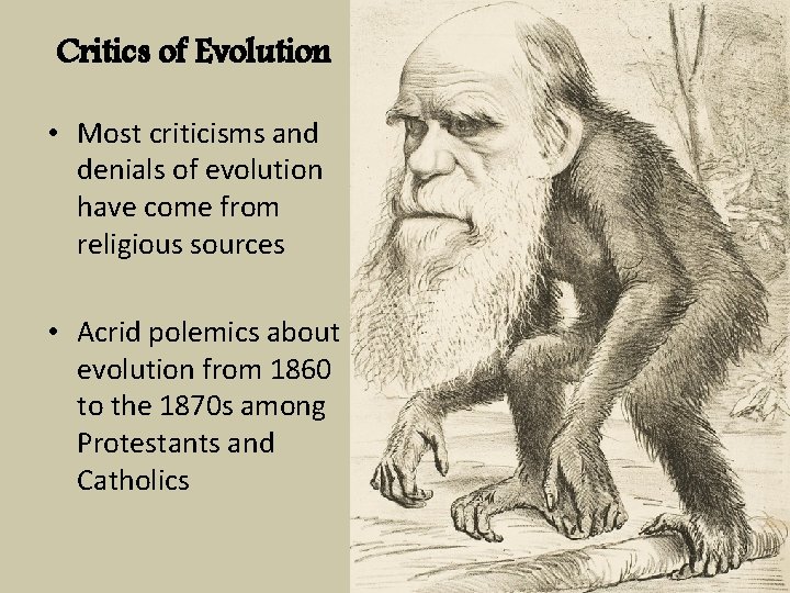Critics of Evolution • Most criticisms and denials of evolution have come from religious
