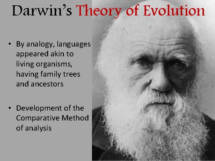 Darwin’s Theory of Evolution • By analogy, languages appeared akin to living organisms, having