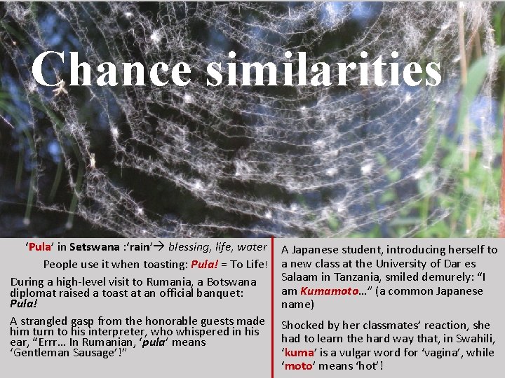 Chance similarities ‘Pula’ in Setswana : ‘rain’ blessing, life, water People use it when