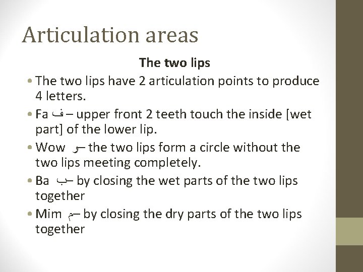 Articulation areas The two lips • The two lips have 2 articulation points to