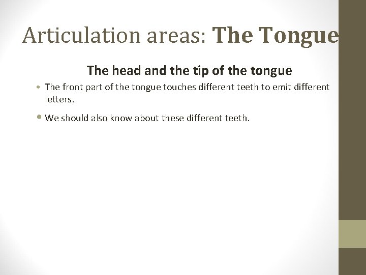 Articulation areas: The Tongue The head and the tip of the tongue • The