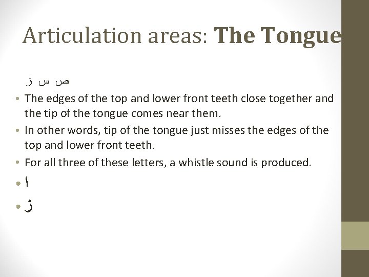 Articulation areas: The Tongue ● ● ● ﺹ ﺱ ﺯ The edges of the