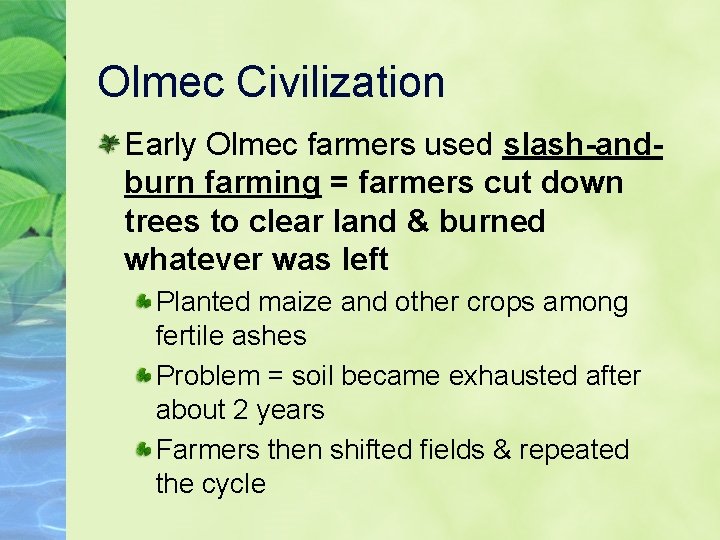 Olmec Civilization Early Olmec farmers used slash-andburn farming = farmers cut down trees to