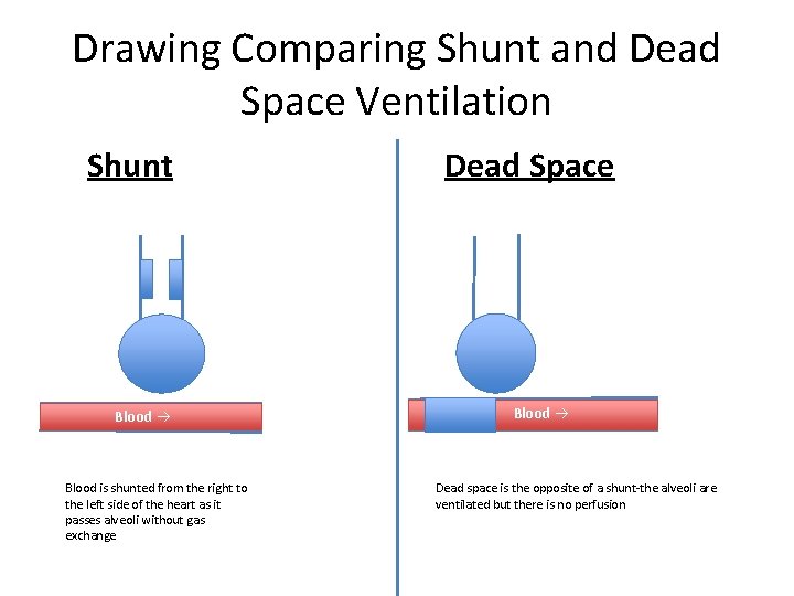 Drawing Comparing Shunt and Dead Space Ventilation Shunt Blood is shunted from the right