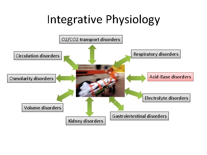 Integrative Physiology O 2/CO 2 transport disorders Respiratory disorders Circulation disorders Acid-Base disorders Osmolarity