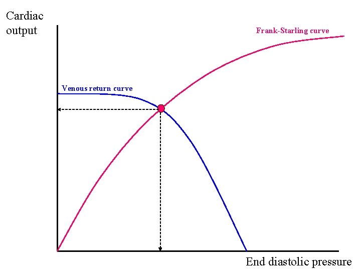 Cardiac output Frank-Starling curve Venous return curve End diastolic pressure 