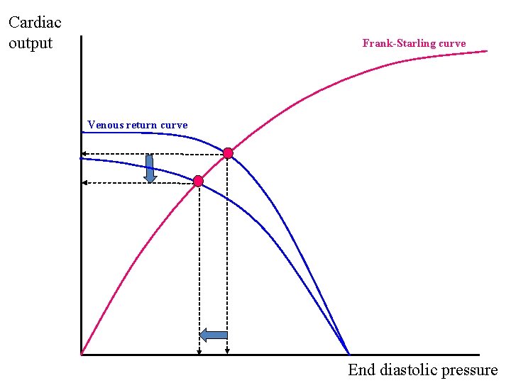 Cardiac output Frank-Starling curve Venous return curve End diastolic pressure 