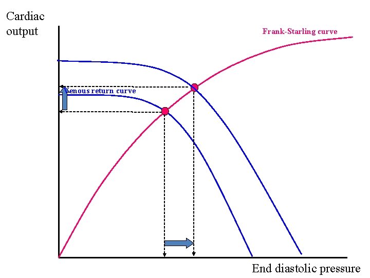 Cardiac output Frank-Starling curve Venous return curve End diastolic pressure 