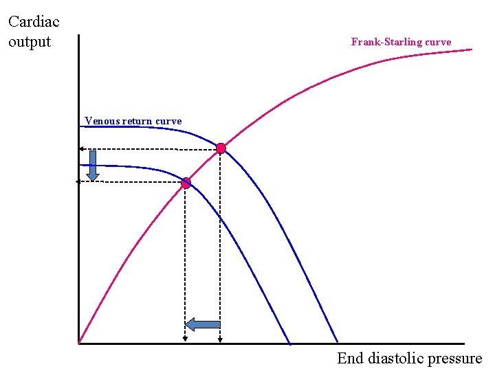Cardiac output Frank-Starling curve Venous return curve End diastolic pressure 
