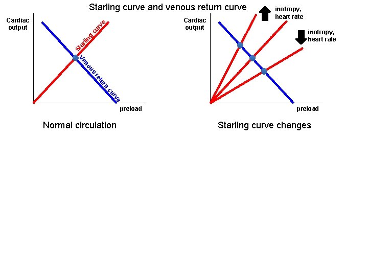 Starling curve and venous return curve Cardiac output inotropy, heart rate St ar lin