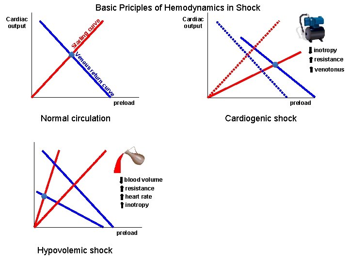 Basic Priciples of Hemodynamics in Shock Cardiac output St ar lin g cu r