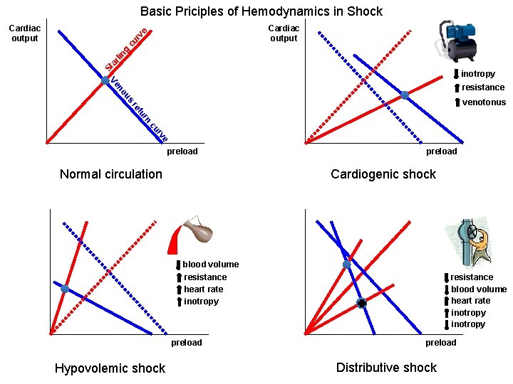 Basic Priciples of Hemodynamics in Shock Cardiac output St ar lin g cu r