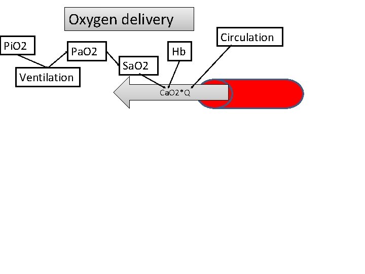 Oxygen delivery Pi. O 2 Pa. O 2 Ventilation Sa. O 2 Hb Ca.