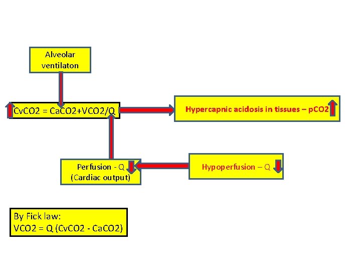 Alveolar ventilaton Cv. CO 2 = Ca. CO 2+VCO 2/Q Perfusion - Q (Cardiac