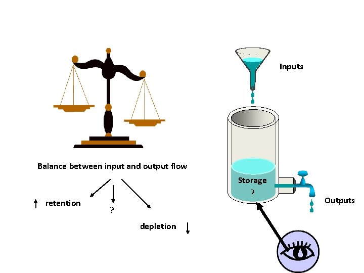 Inputs Balance between input and output flow retention Storage ? ? depletion Outputs 