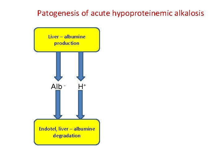 Patogenesis of acute hypoproteinemic alkalosis Liver – albumine production Alb - H+ Endotel, liver