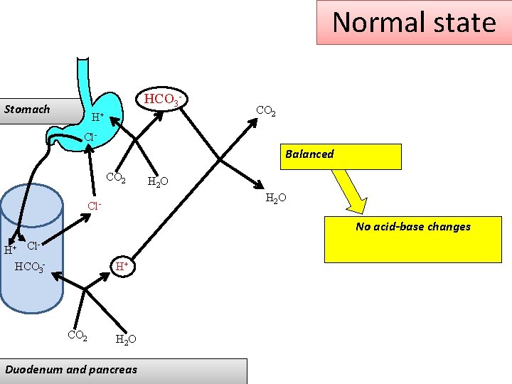 Normal state HCO 3 - Stomach H+ CO 2 Cl- Balanced CO 2 H