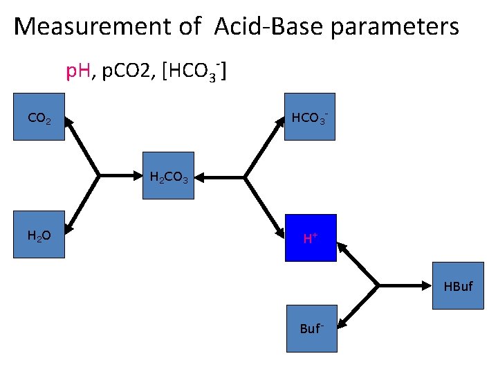 Measurement of Acid-Base parameters p. H, p. CO 2, [HCO 3 -] HCO 3