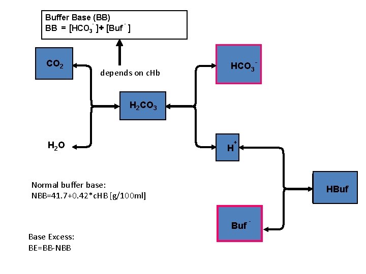Buffer Base (BB) BB = [HCO 3 ]+ [Buf ] CO 2 depends on