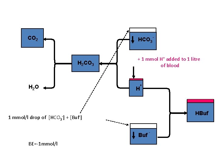 HCO 3 - CO 2 H 2 CO 3 H 2 O + 1