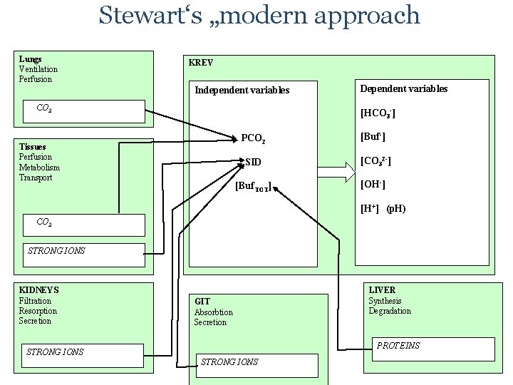 Stewart‘s „modern approach Lungs Ventilation Perfusion KREV Independent variables CO 2 Dependent variables [HCO