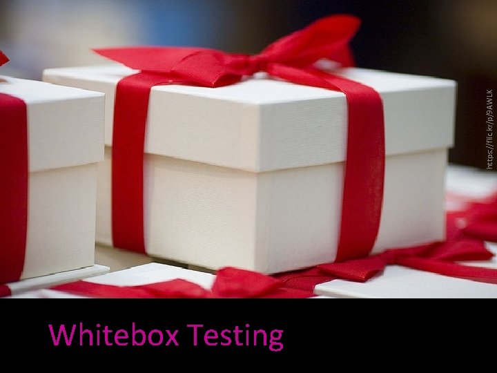 Whitebox Testing https: //flic. kr/p/9 AWLK 