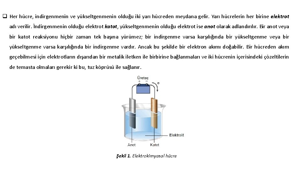 q Her hücre, indirgenmenin ve yükseltgenmenin olduğu iki yarı hücreden meydana gelir. Yarı hücrelerin