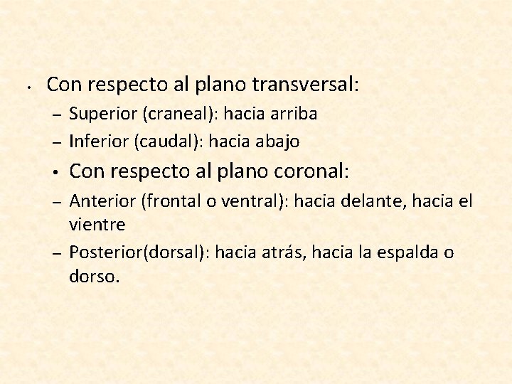  • Con respecto al plano transversal: – Superior (craneal): hacia arriba Inferior (caudal):