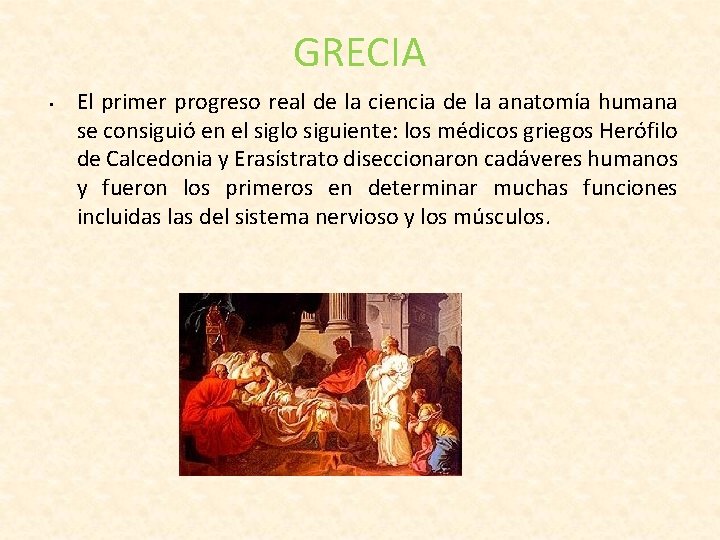 GRECIA • El primer progreso real de la ciencia de la anatomía humana se