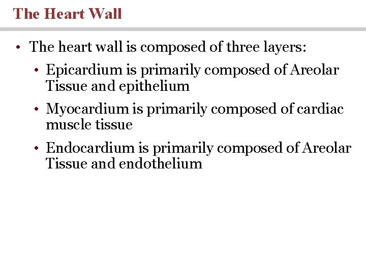 The Heart Wall • The heart wall is composed of three layers: • Epicardium