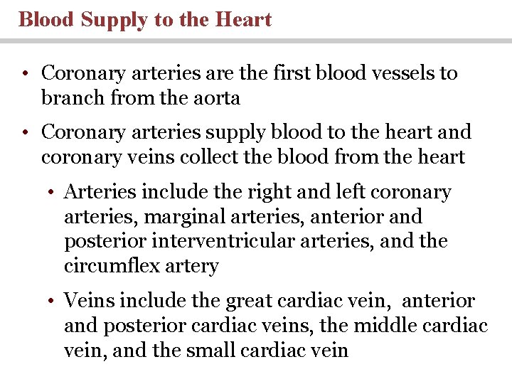 Blood Supply to the Heart • Coronary arteries are the first blood vessels to