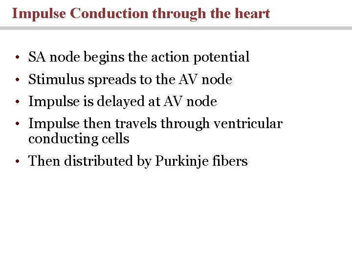 Impulse Conduction through the heart • SA node begins the action potential • Stimulus