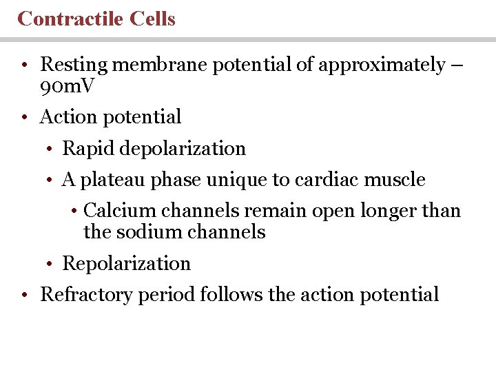 Contractile Cells • Resting membrane potential of approximately – 90 m. V • Action