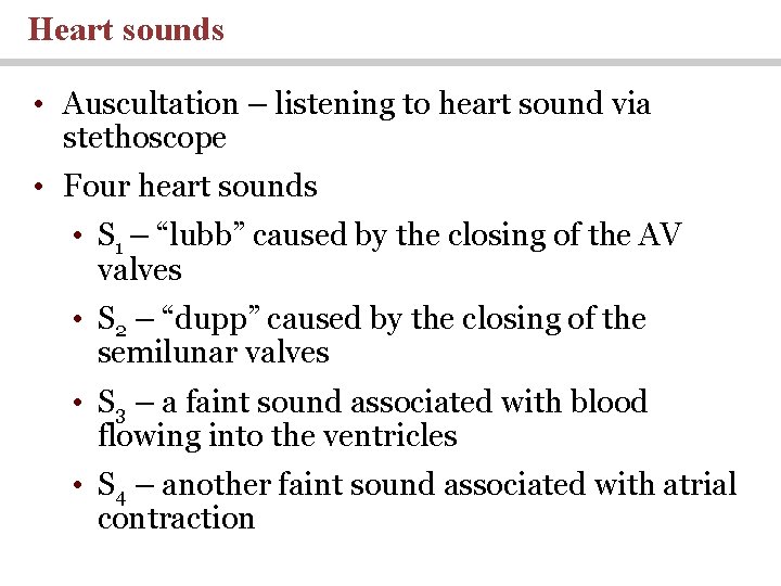 Heart sounds • Auscultation – listening to heart sound via stethoscope • Four heart