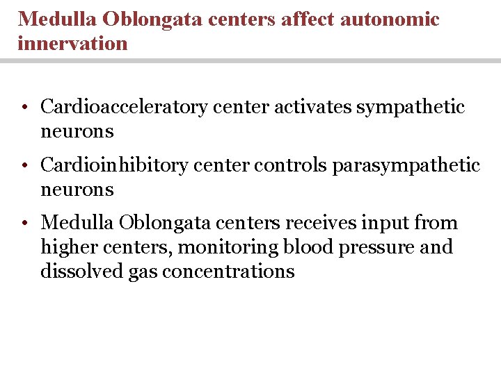 Medulla Oblongata centers affect autonomic innervation • Cardioacceleratory center activates sympathetic neurons • Cardioinhibitory