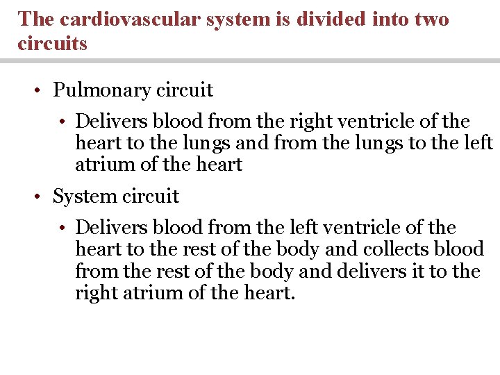 The cardiovascular system is divided into two circuits • Pulmonary circuit • Delivers blood