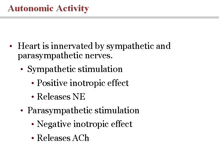 Autonomic Activity • Heart is innervated by sympathetic and parasympathetic nerves. • Sympathetic stimulation