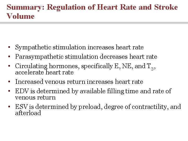 Summary: Regulation of Heart Rate and Stroke Volume • Sympathetic stimulation increases heart rate