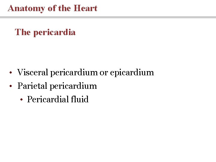 Anatomy of the Heart The pericardia • Visceral pericardium or epicardium • Parietal pericardium