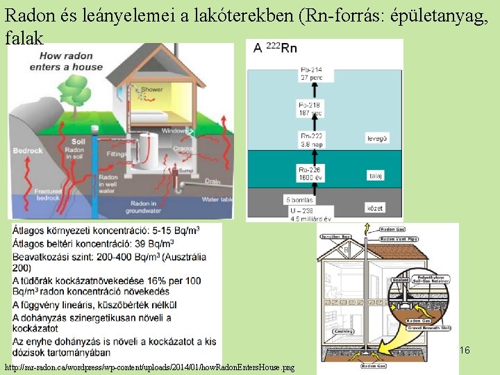 Radon és leányelemei a lakóterekben (Rn-forrás: épületanyag, falak 16 http: //mr-radon. ca/wordpress/wp-content/uploads/2014/01/how. Radon. Enters.